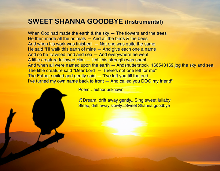 spirit_is_calling/sweet_shanna_goodbye.png